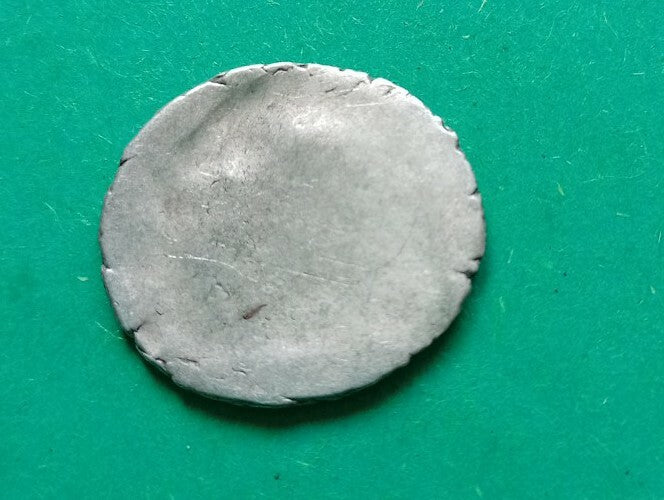 50020881
