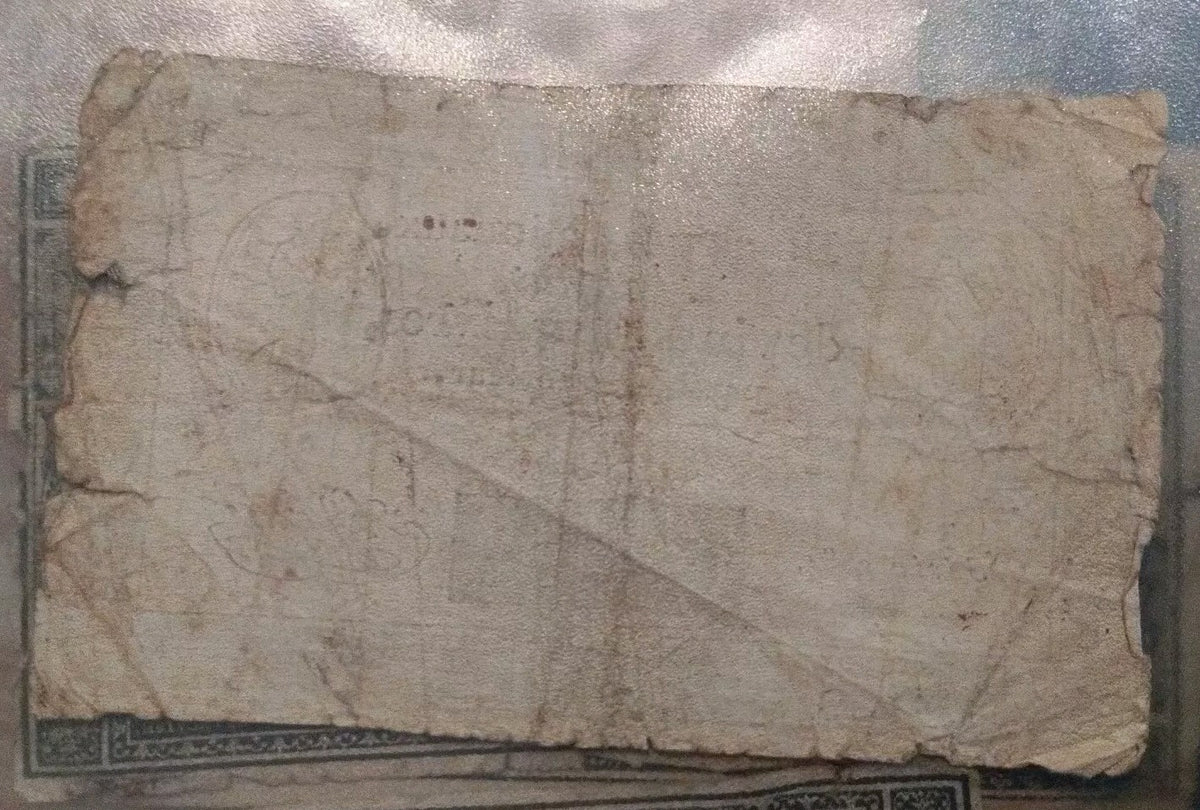 50021855