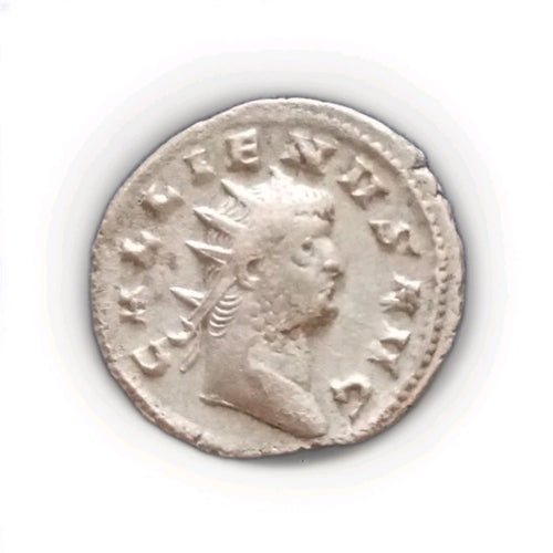 50021396
