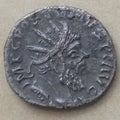 50021031