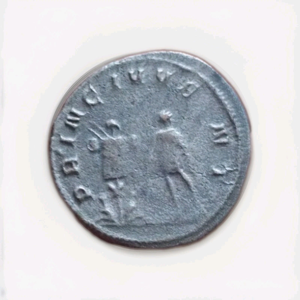 50021004