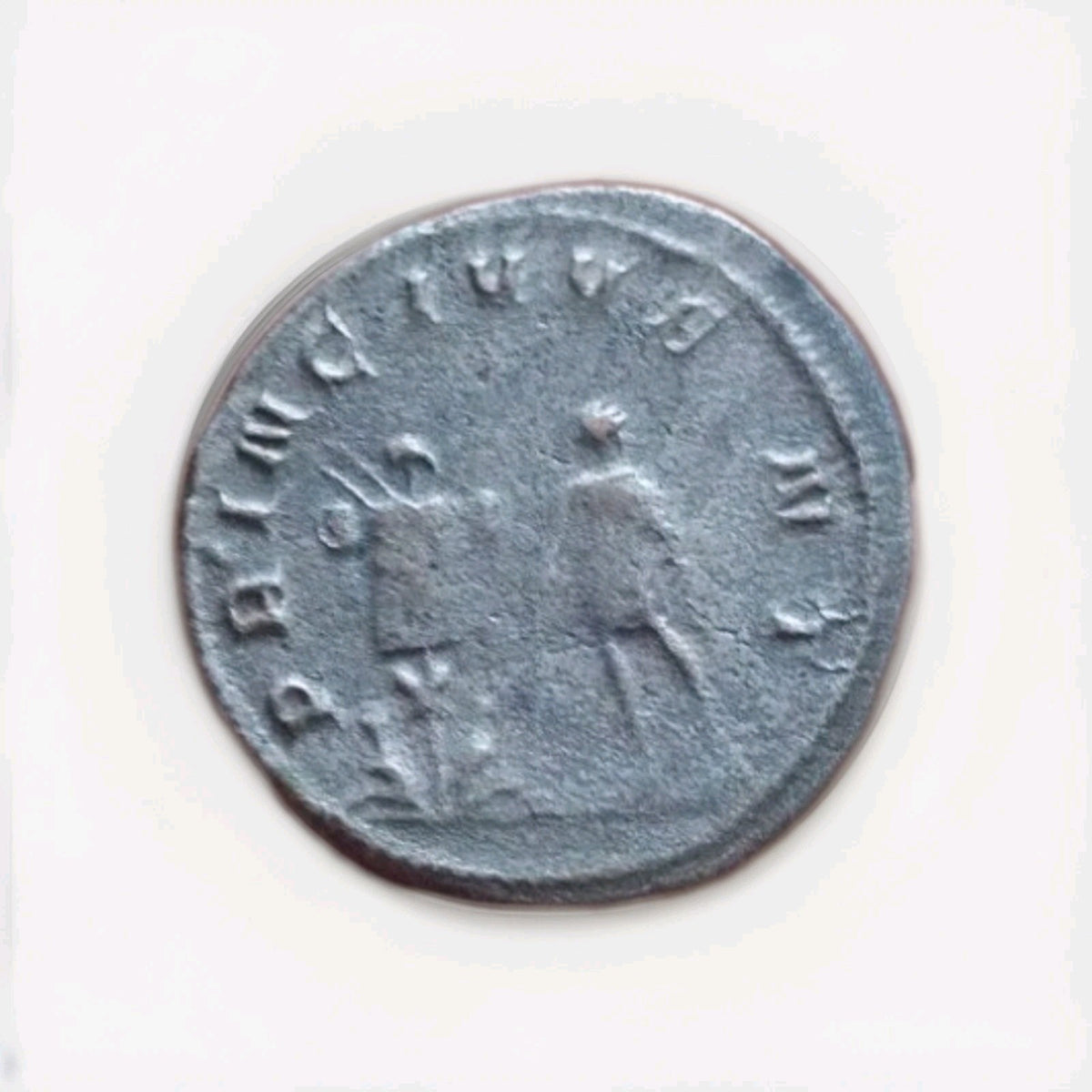 50021004