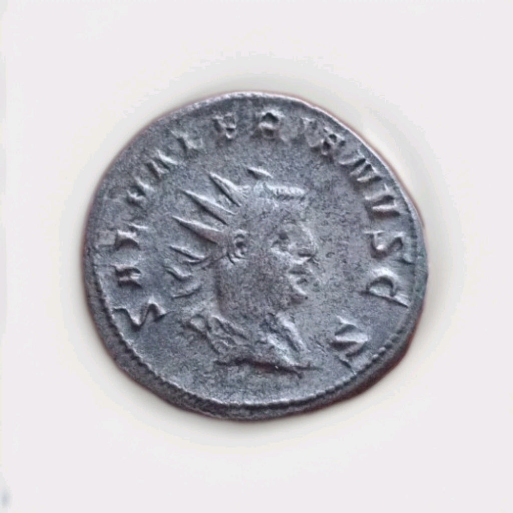 50021004
