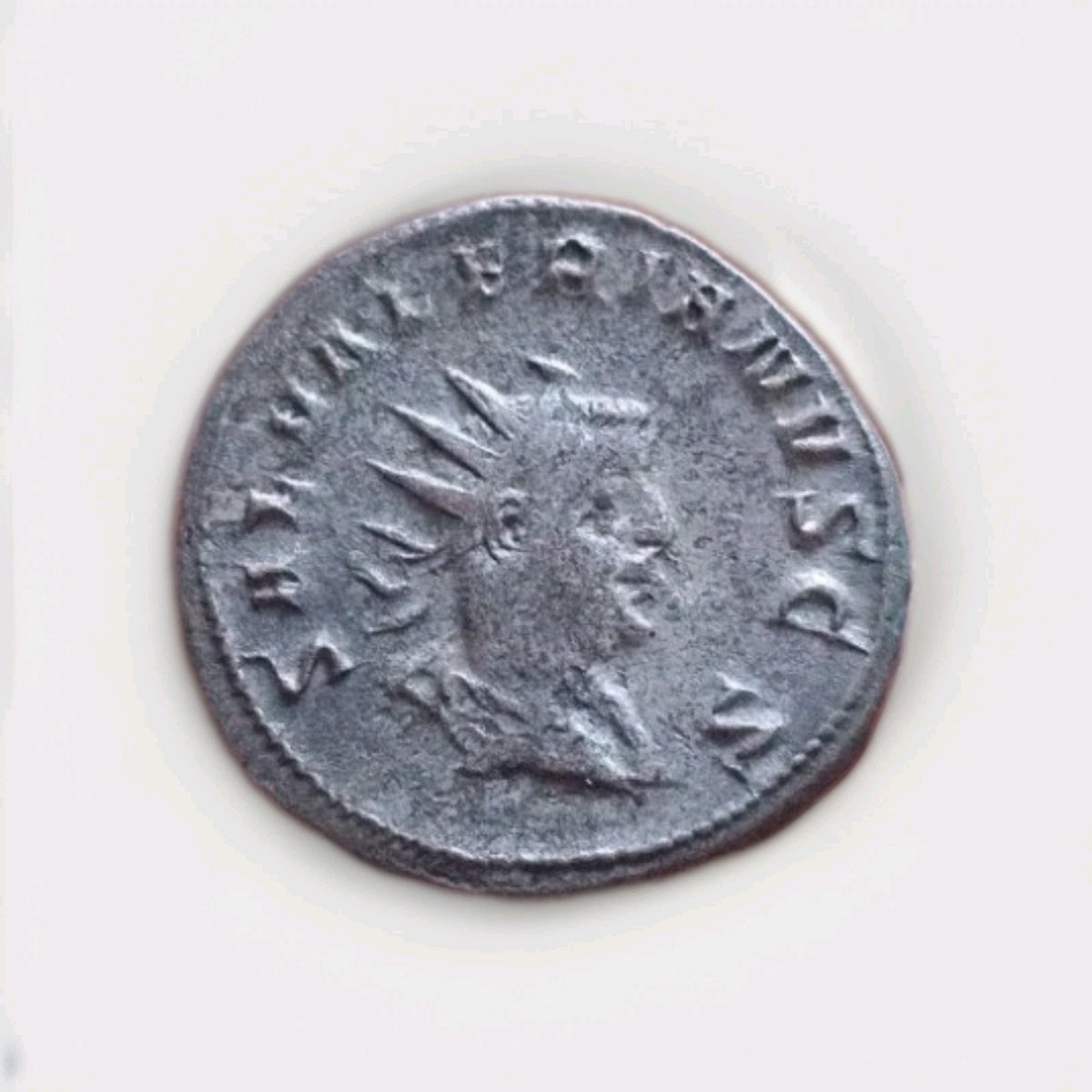 50021004